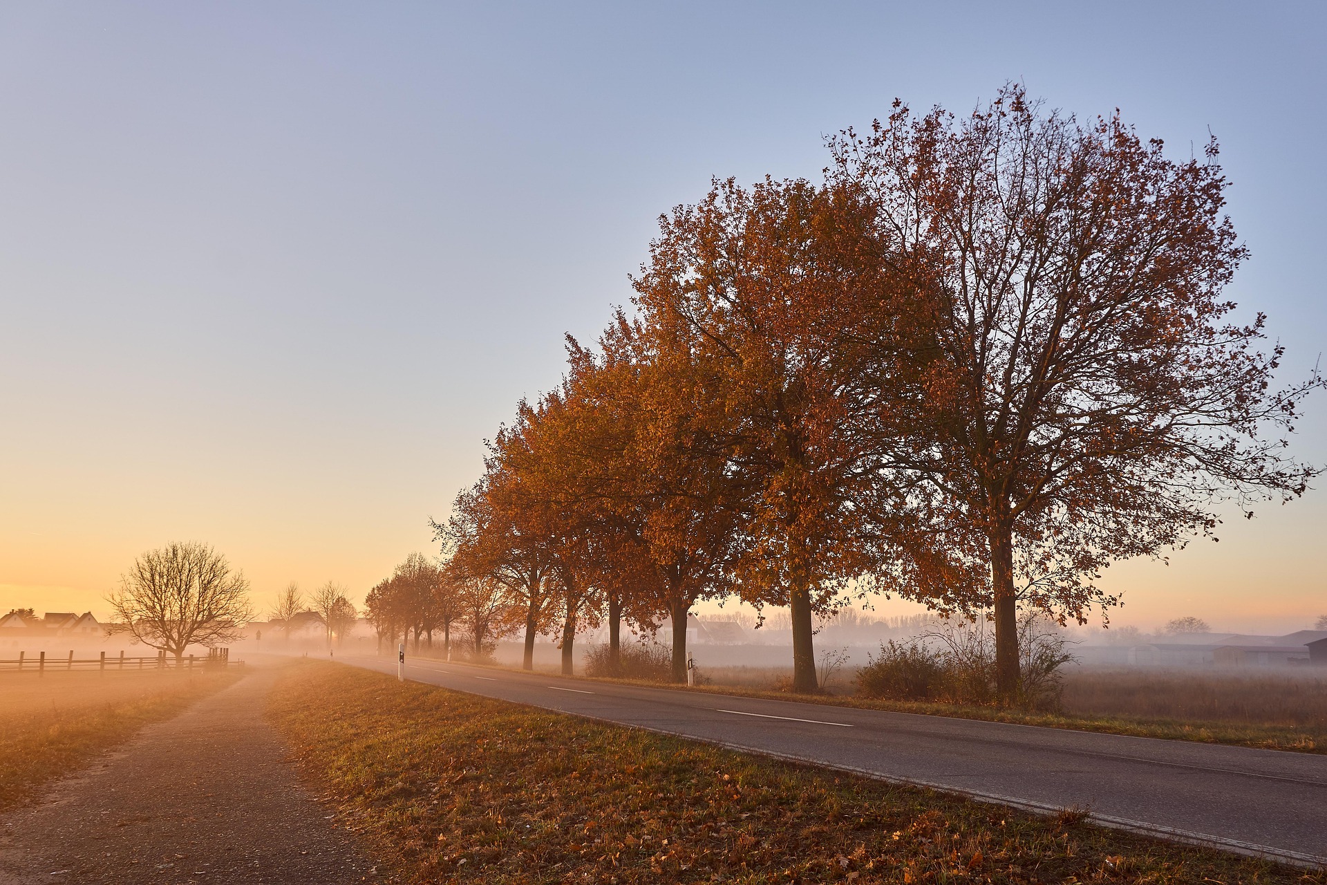 Energize Your Morning